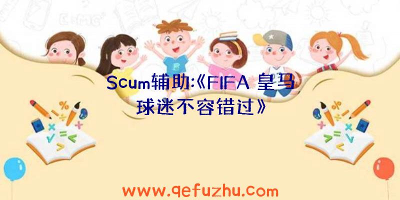 Scum辅助:《FIFA